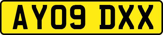 AY09DXX