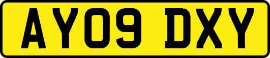 AY09DXY