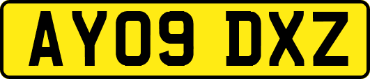 AY09DXZ