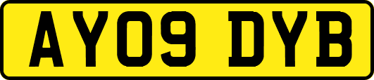 AY09DYB