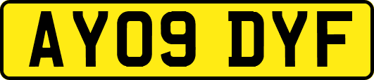 AY09DYF