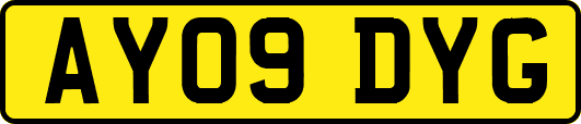 AY09DYG