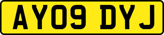 AY09DYJ