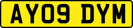 AY09DYM