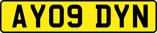 AY09DYN