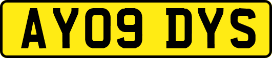 AY09DYS