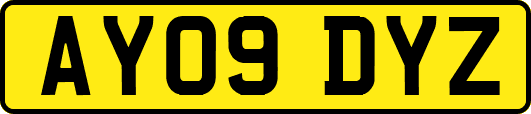 AY09DYZ