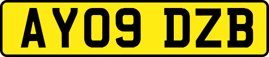 AY09DZB