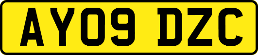 AY09DZC