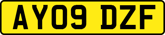 AY09DZF