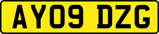 AY09DZG