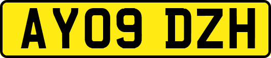 AY09DZH