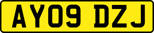 AY09DZJ