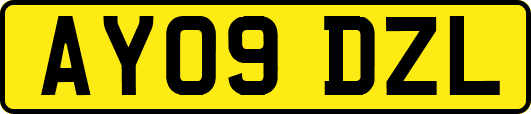 AY09DZL