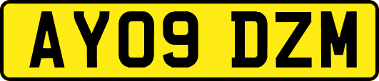 AY09DZM