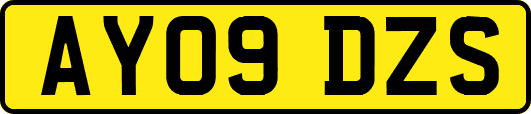 AY09DZS