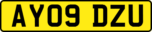 AY09DZU