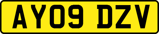 AY09DZV