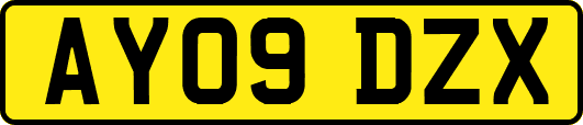 AY09DZX