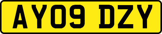 AY09DZY