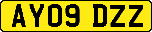 AY09DZZ
