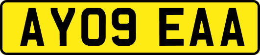AY09EAA