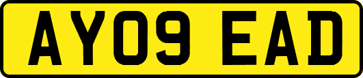 AY09EAD