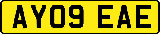 AY09EAE