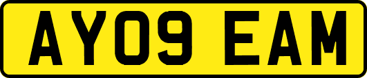 AY09EAM