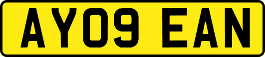 AY09EAN