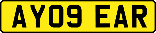 AY09EAR