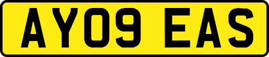 AY09EAS