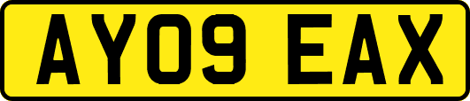 AY09EAX