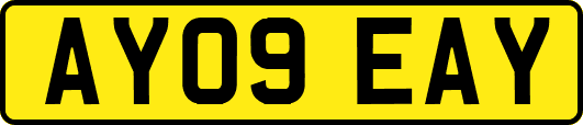 AY09EAY