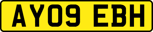 AY09EBH