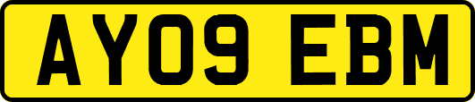 AY09EBM