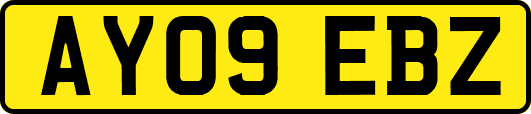 AY09EBZ