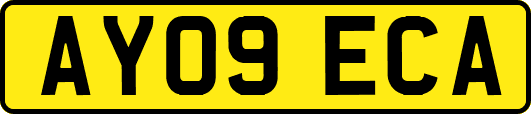 AY09ECA