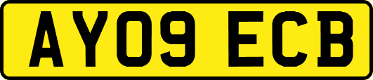 AY09ECB
