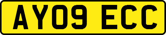 AY09ECC