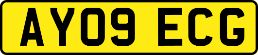 AY09ECG