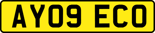 AY09ECO