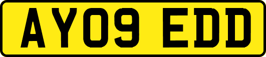 AY09EDD