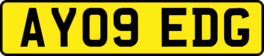 AY09EDG