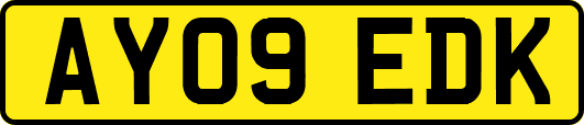 AY09EDK