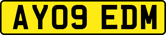AY09EDM