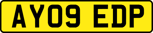 AY09EDP