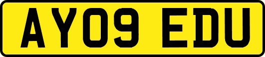 AY09EDU