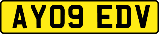 AY09EDV