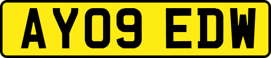 AY09EDW